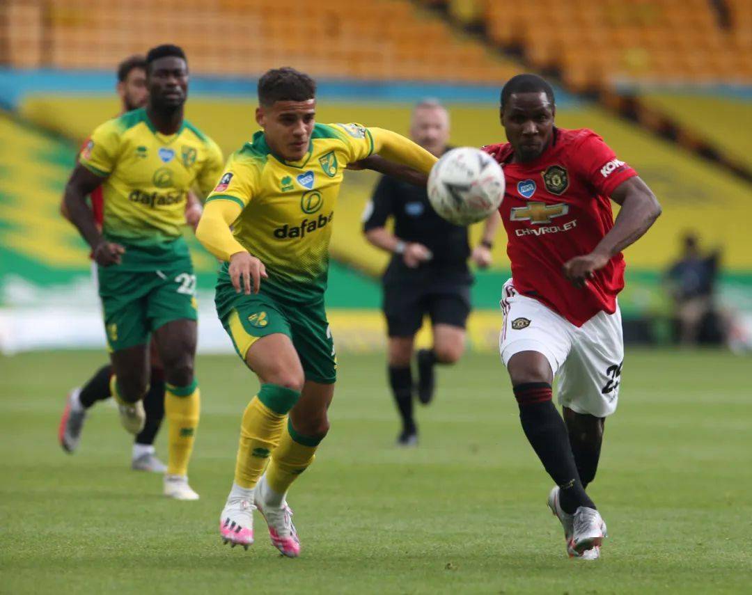 manykindsof中文翻译-开云体育下载