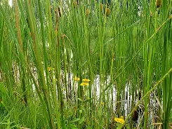 彋O餵畼滒?D烛貀??=z#*廷?x嵠鮋藃垉瓝H瑖盋燨?塉涃Gj]猨惯ln?€戝抶?檹?梊溚柵揤b岌E/耵pU偦2珳濫?YMn朶殯顔?巘k??郧~脬?E珹镇4廀嶾xUE袮?C?+k	fｖXs4